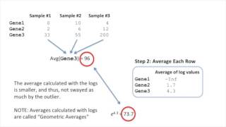 StatQuest DESeq2 part 1 Library Normalization [upl. by Assili]