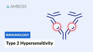 How Cells Divide and How Chemotherapy Works [upl. by Irving]