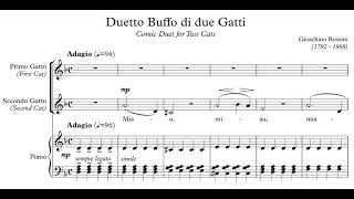 Gioacchino Rossini  Duetto buffo di due gatti [upl. by Vivienne]