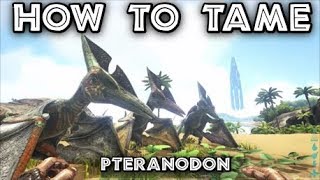 How To Tame  Pteranodon  ARK Survival Evolved Tutorial Xbox One quotPrimitive Methodquot [upl. by Lledniw]