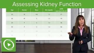 Assessing Kidney Function Glomerular Filtration Rate GFR Nephrology Lecturio [upl. by Byrann881]