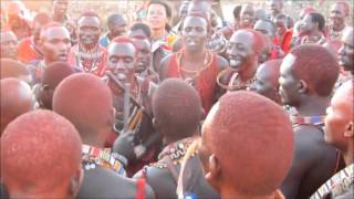 Maasai Warriors Dance 2 [upl. by Tollman563]