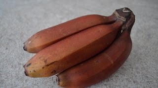 How to Prepare amp Eat Red Bananas Cooking with Kimberly [upl. by Maillliw752]