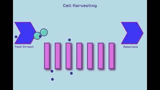 Introduction to Tangential Flow Filtration TFF [upl. by Manoop]