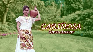 CARIÑOSA  Nora Aunor Lyric Video OPM [upl. by Enomahs261]