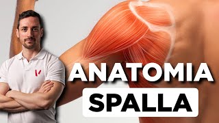 Anatomia della spalla [upl. by Wan]