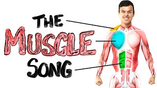 The Muscle Song Memorize Your Anatomy  SCIENCE SONGS [upl. by Netsreik]