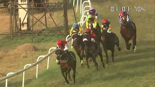 BREAK POINT wins The Shapoorji Pallonji Breeders Juvenile Colts Championship Gr3 [upl. by Jewel807]