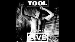 Tool Ænima Full Expanded Album Live Redux [upl. by Ase]