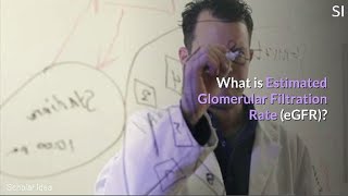 what is Estimated Glomerular Filtration Rate EGFR [upl. by Anitaf]