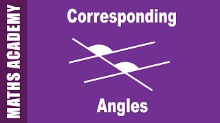 Corresponding Alternate and Cointerior Angles [upl. by Nets]