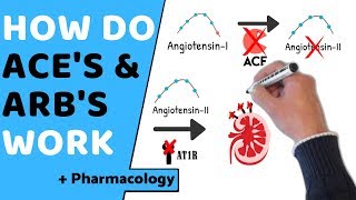 How do ACE amp ARBs Work  Pharmacology [upl. by Adelaida634]