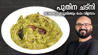 പുതിന ചട്നി  ദോശക്കും ഇഡ്ഡലിക്കും ഒപ്പം വിളമ്പാം  Pudina Chutney Recipe [upl. by Nonregla]