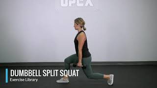 Dumbbell Split Squat [upl. by Bonis]