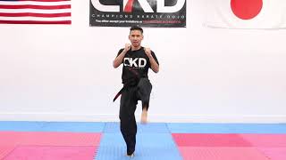 Karate Training Tips for Beginners [upl. by Frick]