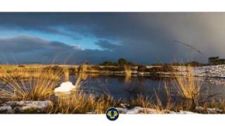 Welcome to De Hoge Veluwe National Park [upl. by Anavas]