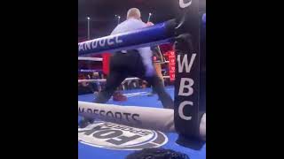 Ringside Angle of Tyson Fury Knocking Wilder Down 3 Times Finishes Him In Highlight Fashion shorts [upl. by Reiter]