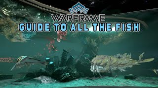 Warframe Fishing Guide  Plains of Eidolon Fortuna amp Cambion Drift  All the Fish amp Details [upl. by Allana408]