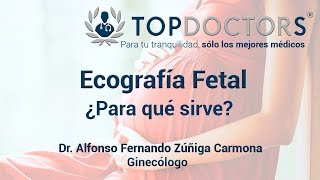 Ecografía Fetal ¿Para qué sirve ¿Tiene riesgos para el bebé [upl. by Elwood]