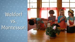 Waldorf vs Montessori Education Whats the Difference [upl. by Anelegna707]