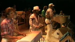 Beach Boys Live at Knebworth 1980  Fun Fun Fun [upl. by Aisor127]