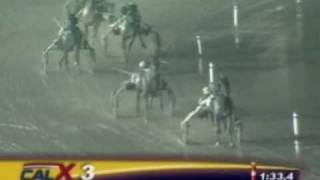 Harness Racing Impossible Comeback  Hitchhiker [upl. by Siuraj]