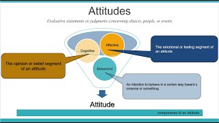 Attitudes And Job satisfaction  organizational behavior Chapter3 [upl. by Niaz]