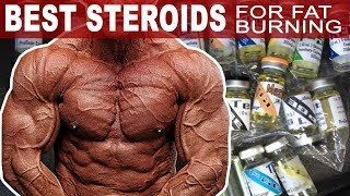 The Best Steroids For Burning Fat [upl. by Cassady]