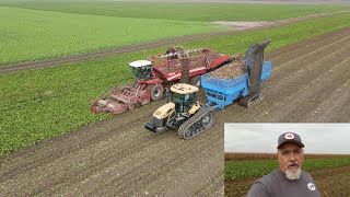 Michigan Sugar Beet Harvest near Ruth [upl. by Marsha]