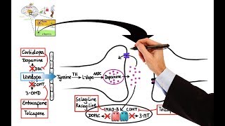 Pharmacology  DRUGS FOR PARKINSONS DISEASE MADE EASY [upl. by Haddad593]