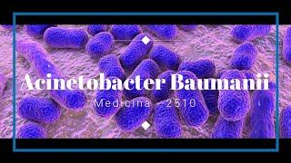 Acinetobacter Baumanii  Factores de patogenicidad y virulencia [upl. by Ekeiram]