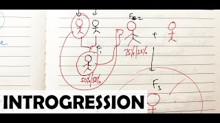 What is Introgression [upl. by Ck]