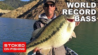 World Record Bass  Part 1 [upl. by Giustino]