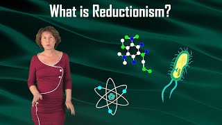 What is Reductionism [upl. by Neitsabes]