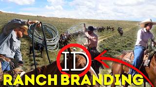 Branding at the ID Ranch [upl. by Llewxam]