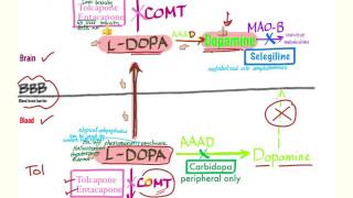 Parkinson’s Pharmacology  Neurology [upl. by Ahsinaw]