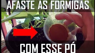 COMO ELIMINAR AS FORMIGAS DAS PLANTAS  USE ESSE PÓ [upl. by Sauers]