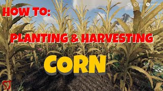 FS19  How To  Plant amp Harvest Corn [upl. by Acenes]