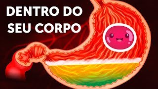 Uma Jornada Dentro Do Corpo Humano [upl. by Helbonna263]