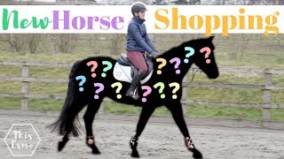 New Horse Shopping  The Search Begins AD  This Esme [upl. by Leinahtam273]