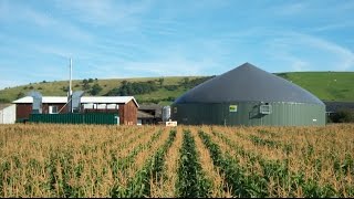 Considering an anaerobic digester [upl. by Iliram]