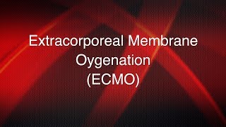 ECMO emergencies pump exchange [upl. by Adnyl]