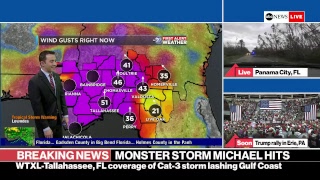 ABC News Hurricane Michael live coverage landfall with 155 mph winds in Florida panhandle [upl. by Omle]