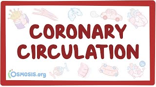 The Easy Way to Understand Congenital Heart Disease 🫀  Cardiology [upl. by Ennovi]