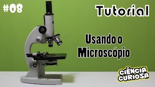 Tutorial Como Usar um Microscópio [upl. by Caruso]