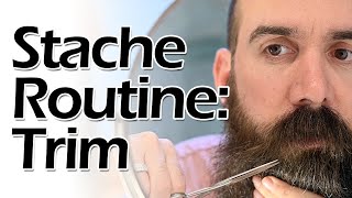 Beard Routine Mustache Trim [upl. by Abby]