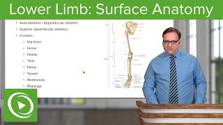 Lower Limb Surface Anatomy amp Osteology – Anatomy  Lecturio [upl. by Saimon]