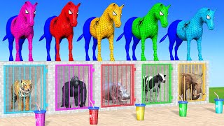 Long Slide Game With Cow Elephant Gorilla Hippopotamus Tiger  3d Animal Game  Funny 3d Animals [upl. by Nnylirej]