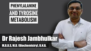 4 Phenylalanine and tyrosine metabolism [upl. by Eiznekcam]