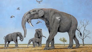 Deinotherium  Prehistoric Elephants [upl. by Heti]